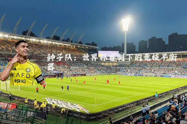 种子队：世界杯赛制下的竞技平衡器